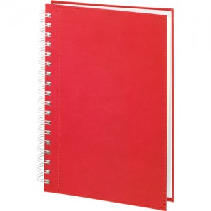 bagcilar_pendik_kirmizi