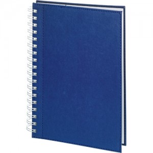 bagcilar_pendik_lacivert