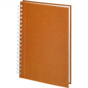 bagcilar_pendik_taba