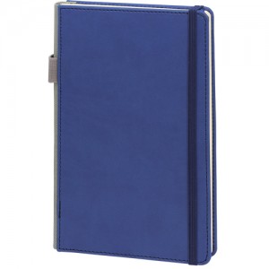 buyukcekmece_lacivert