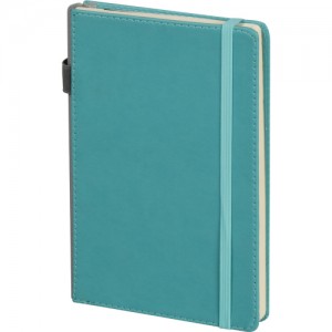 buyukcekmece_turkuaz